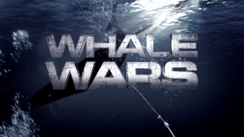 Whale Wars Promo